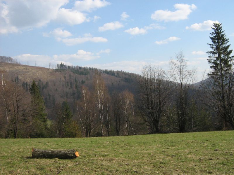 Polana w górach