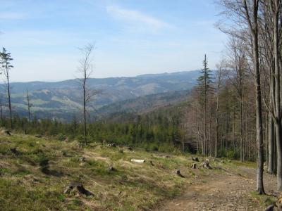 Salmopol - Trzy Kopce Wiślańskie
