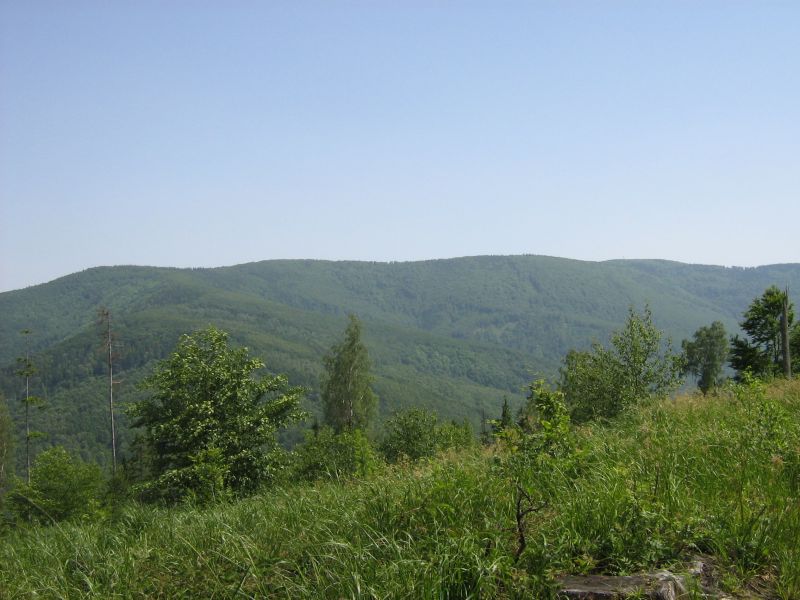 Jaworze Średnie - Klimczok